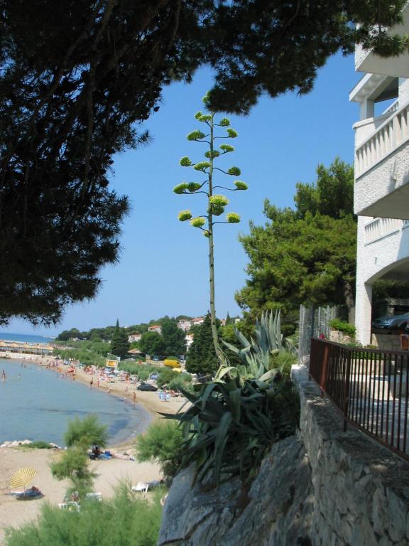 Apartment Agava-mirjana